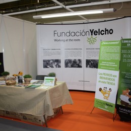 La Fundación Yelcho en Animaladda 2013