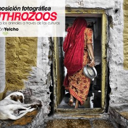 Exposición fotográfica Anthrozoos