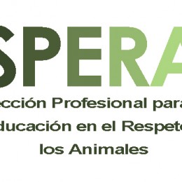 I Jornadas de Educación en el Respeto a los Animales